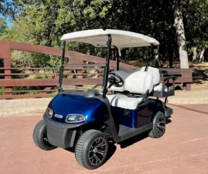2023 E Z GO Freedom RXV Elite 4 Passenger Lithium Ion Golf Carts for Sale42 (6)