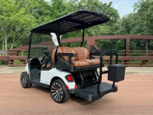 2025 E Z GO Valor 4 Passenger Lithium Ion Golf Carts for Sale43 (8)