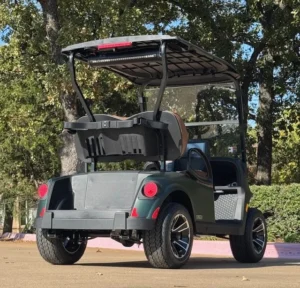 2026 E Z GO Freedom RXV Elite 2 Passenger HP Lithium Ion Golf Carts for Sale (5)
