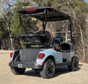 2026 E Z GO Freedom RXV Elite 2 Passenger Lithium Ion Golf Carts for Sale(Ocean Gray) (6)